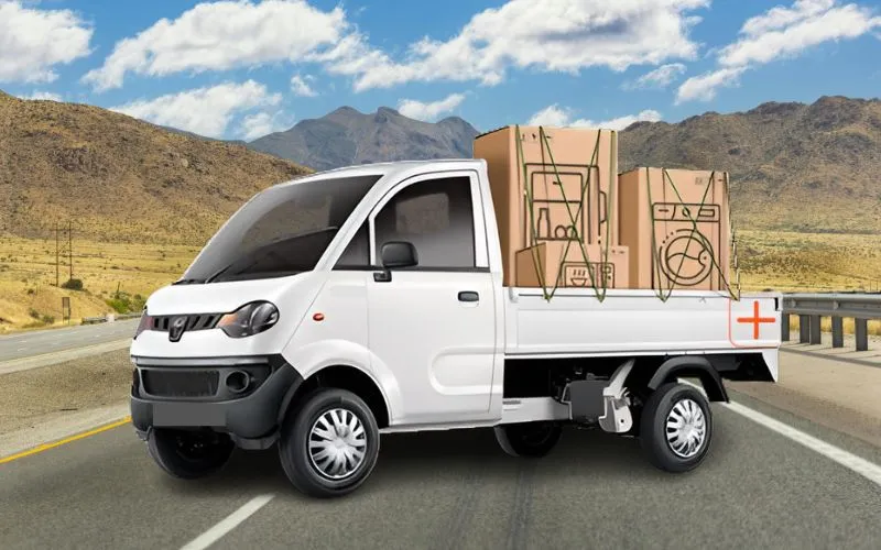 Jeeto Plus Petrol